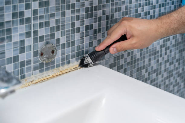 Best Health and Safety Mold Remediation in Foxfire, NC